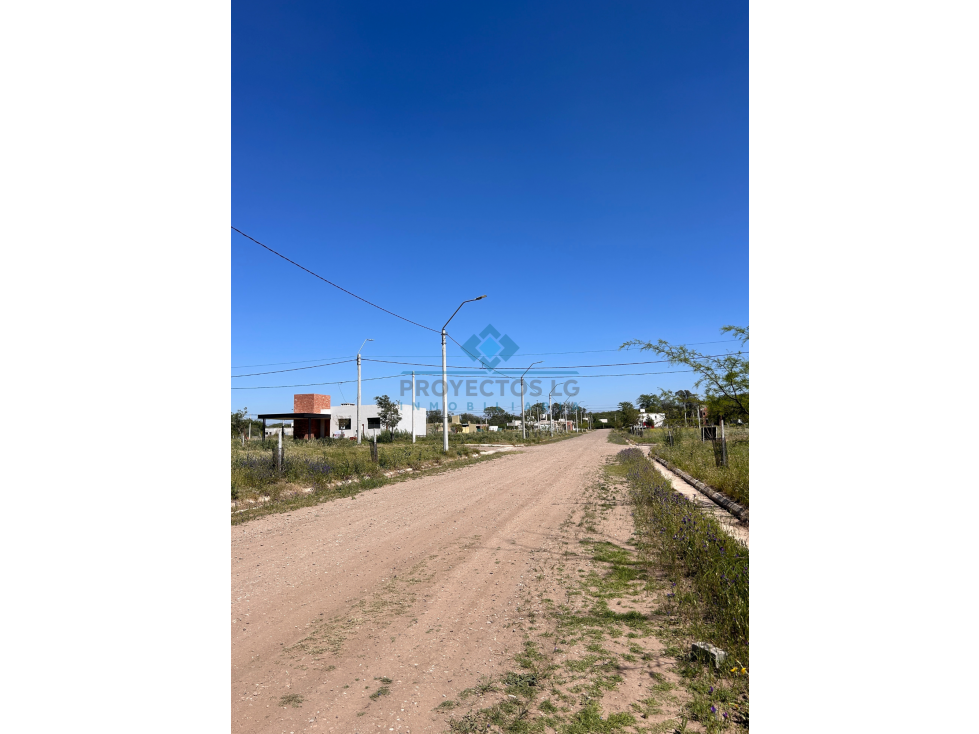 VENTA DE LOTES BARRIO LOS ALGARROBOS, SINSACATE - 6