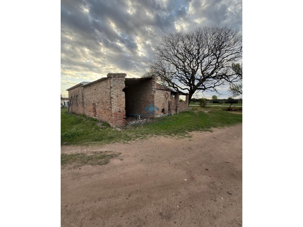 VENTA CAMPO / LOTE DE 5.83 HECTÁREAS COLONIA CAROYA - 2