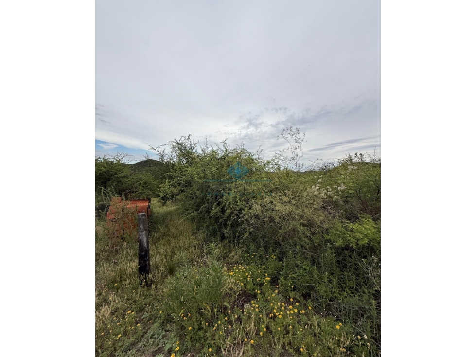 VENTA-LOTE 2.500m2 5to BAÑO- LA GRANJA - 6