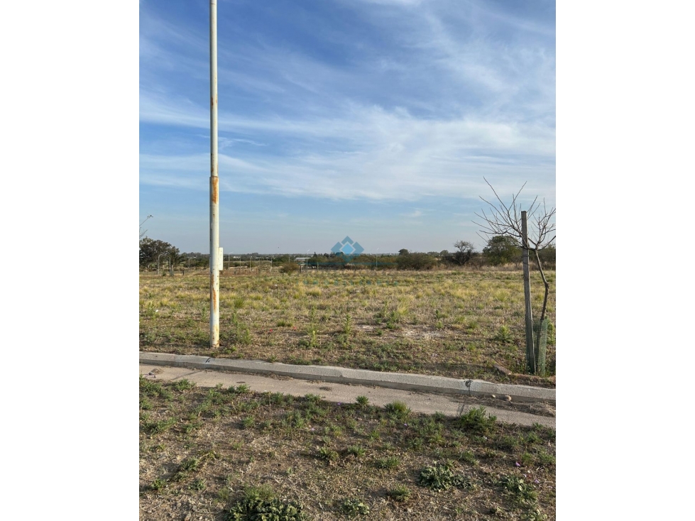 OPORTUNIDAD LOTE 2000 M2 | SINSACATE - 6