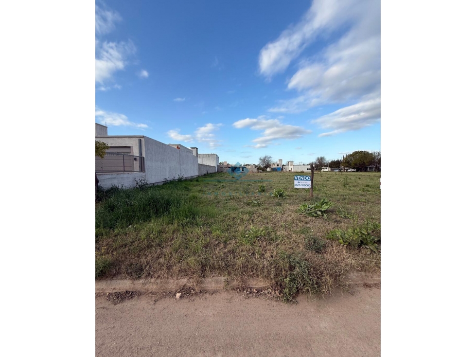 VENTA-LOTE 897M2- COLONIA CAROYA - 6