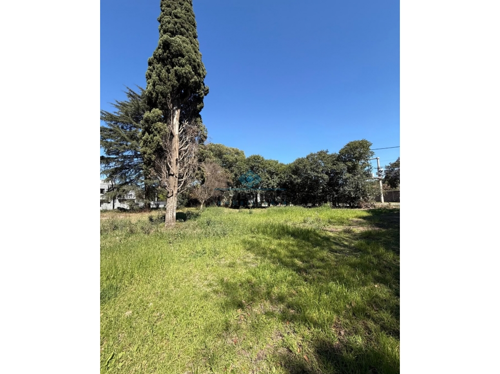VENTA LOTES - BARRIO LOS NOGALES, JESÚS MARIA - 6