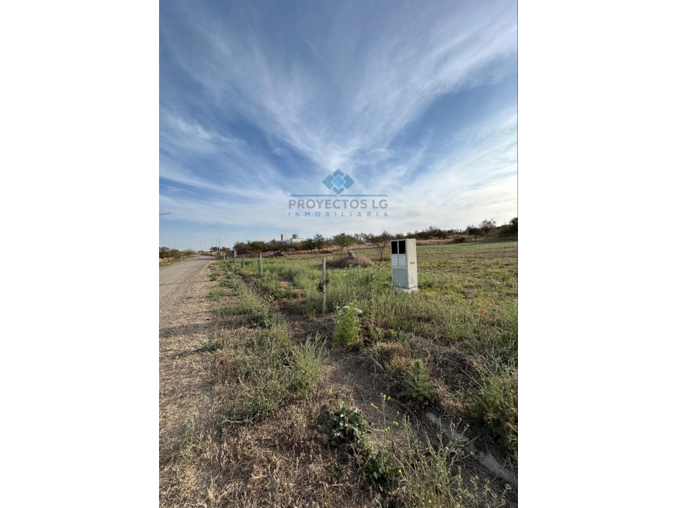 VENTA - LOTES 2000 M2 - COLINAS DE SINSACATE - 4