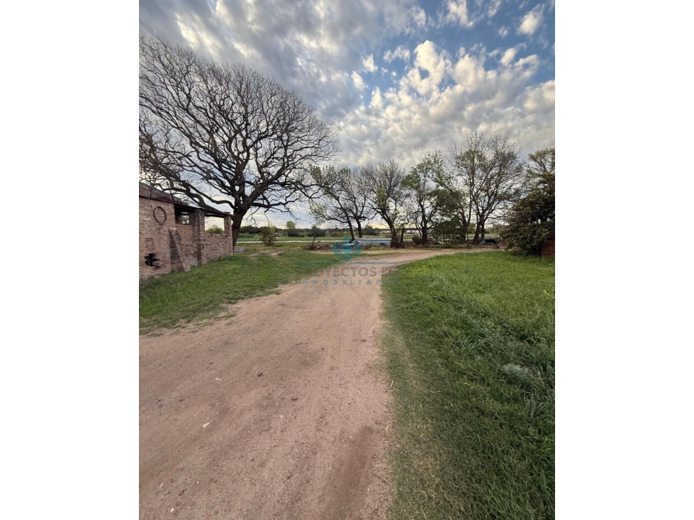 VENTA CAMPO / LOTE DE 5.83 HECTÁREAS COLONIA CAROYA - 3