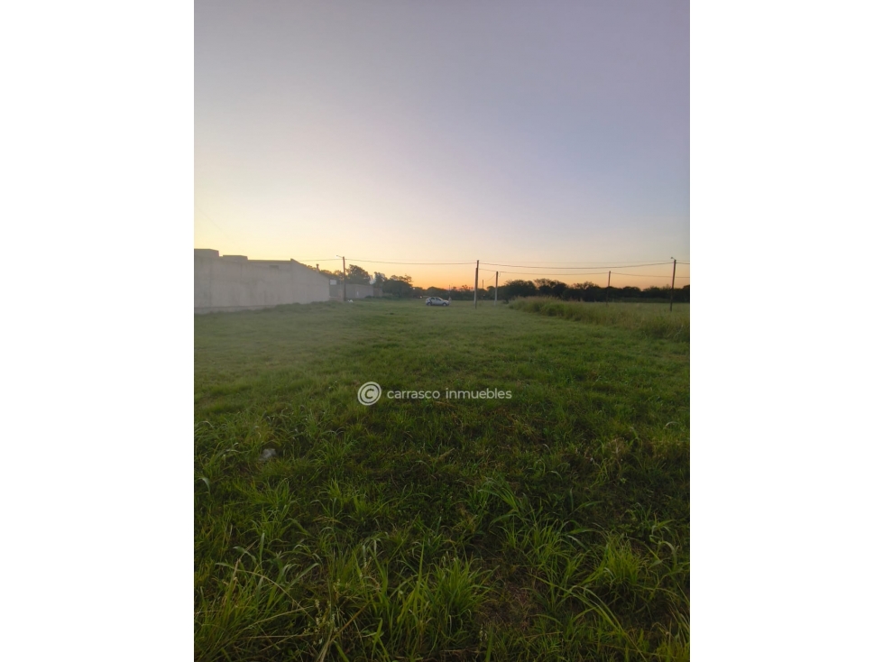 VENTA LOTE 719 mts COLONIA TIROLESA. - 5