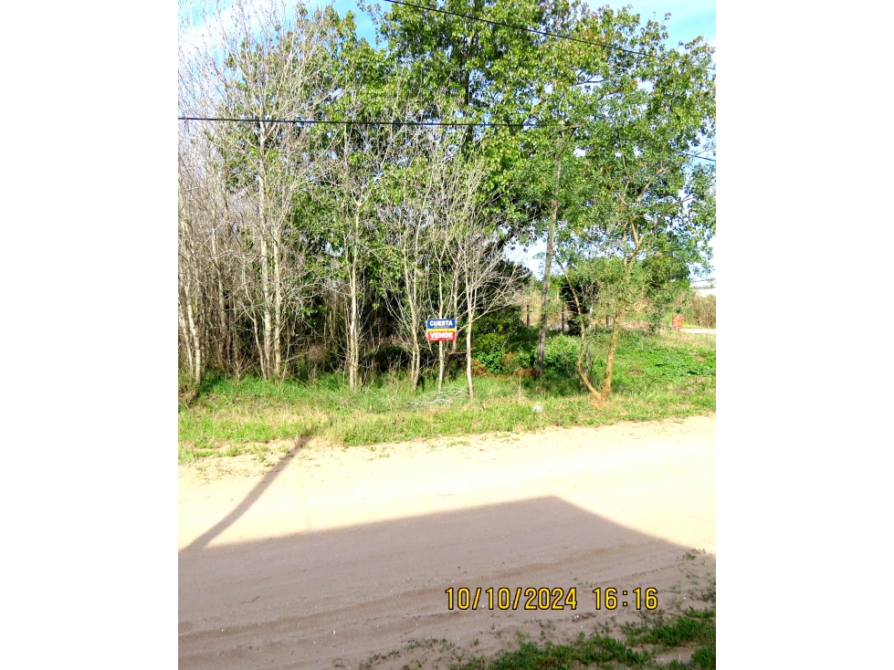 LOTE TALA SUR - 2