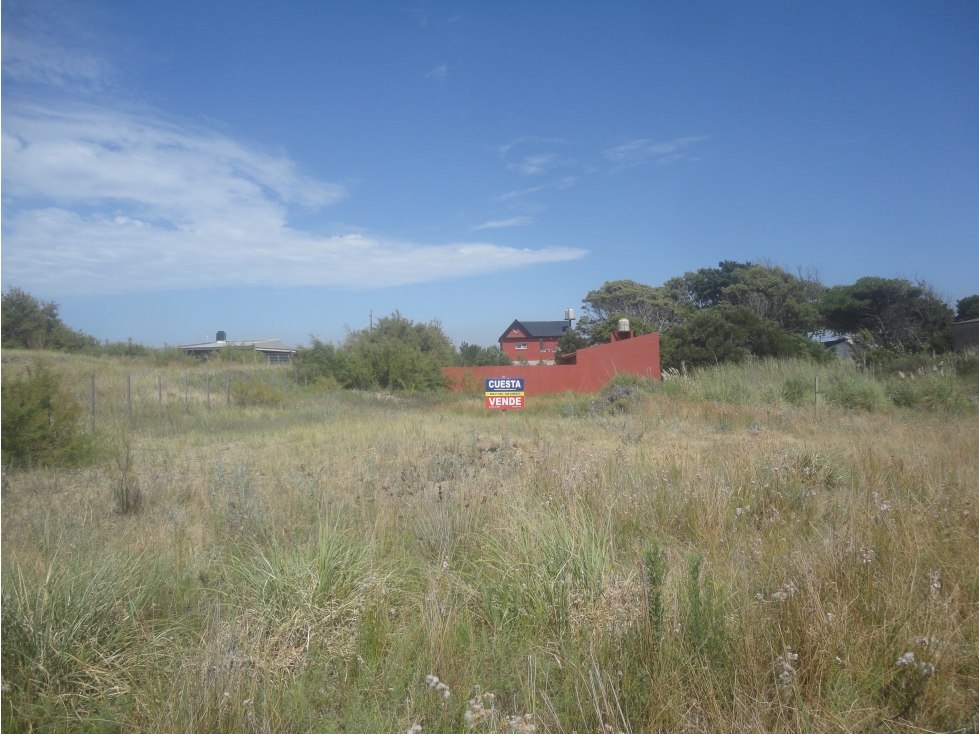 LOTE - 1