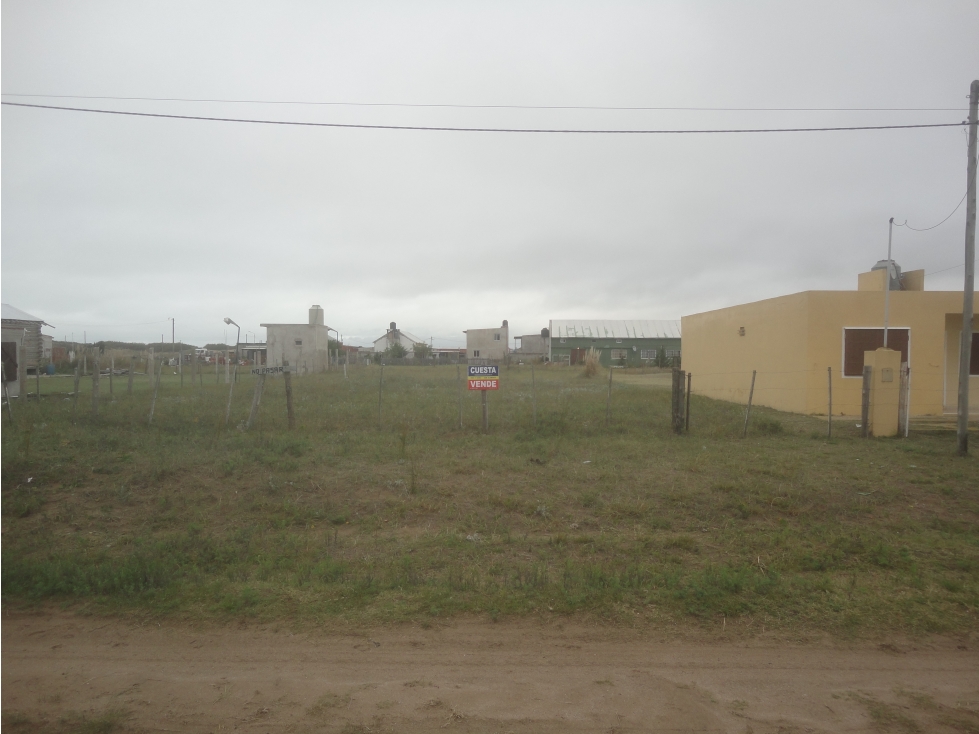 LOTE - 1