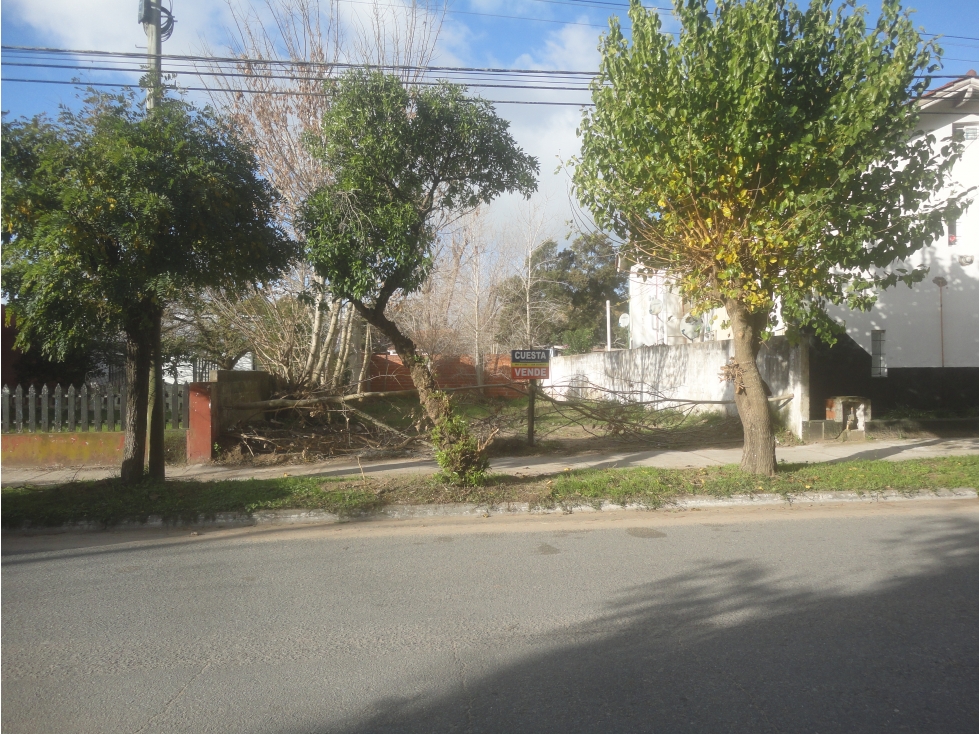LOTE - 1