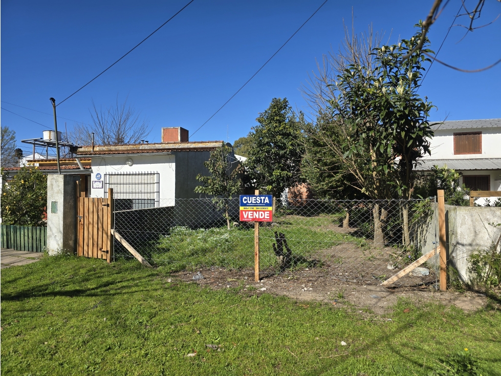 LOTE - 1