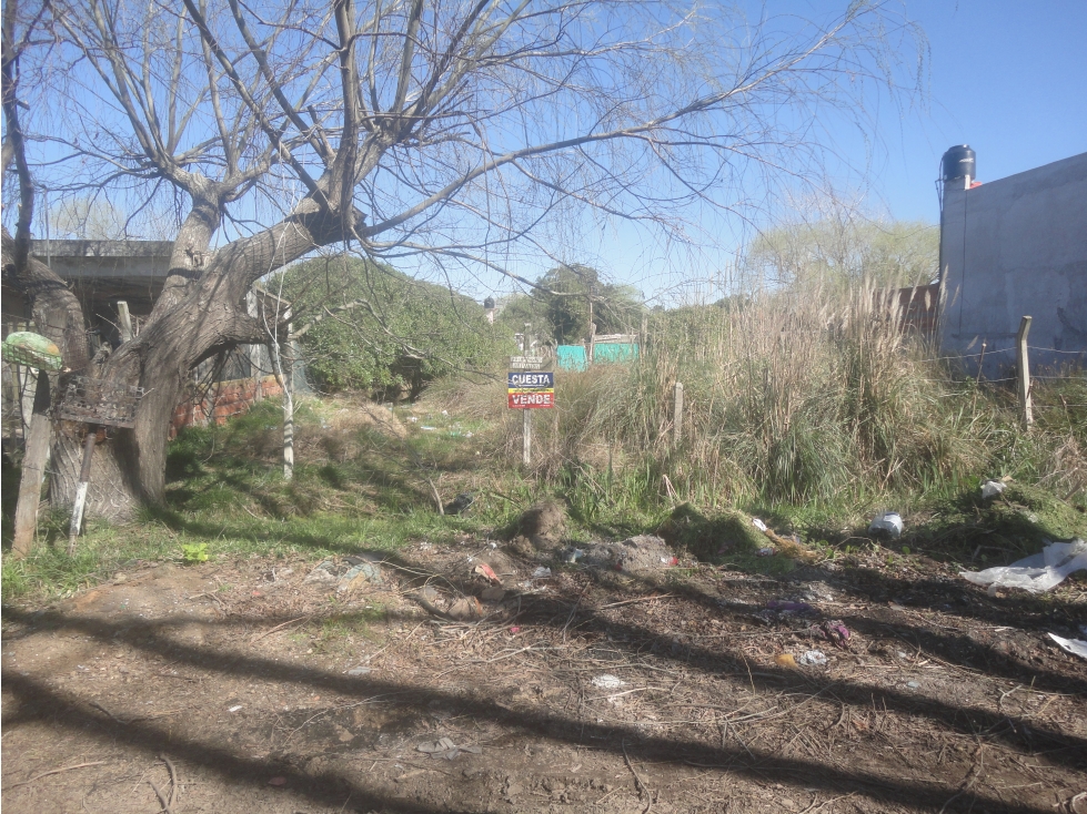 LOTE - 1
