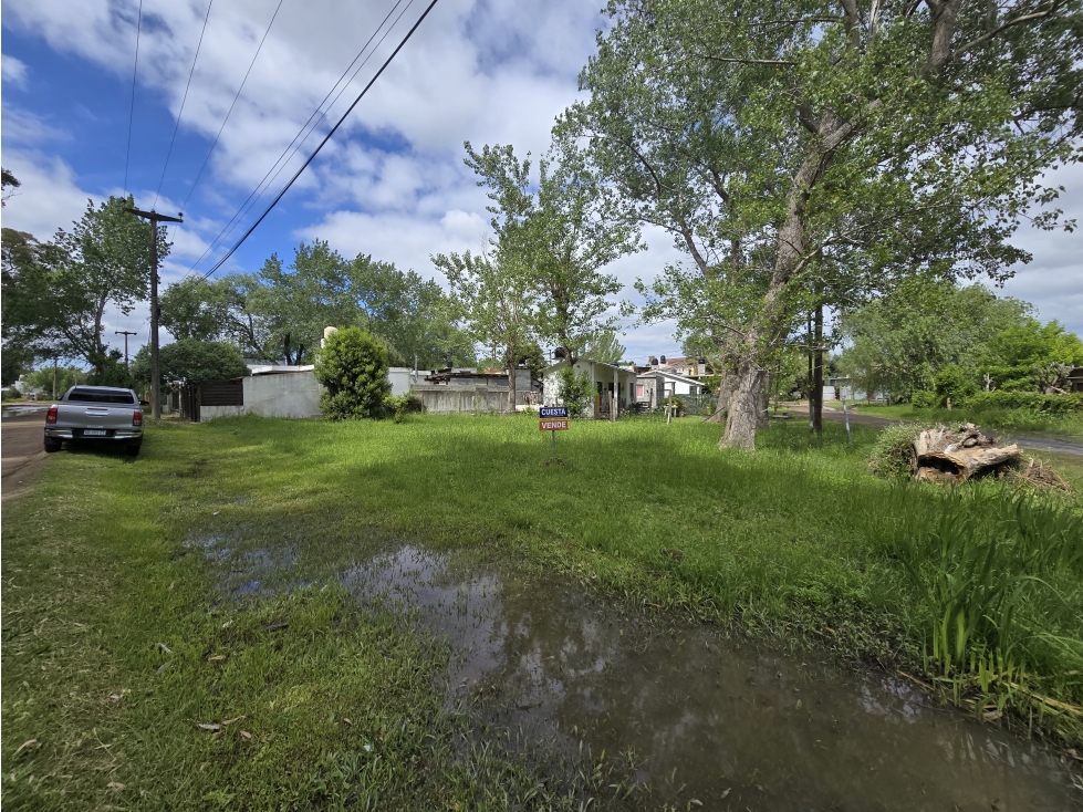 LOTE - 1