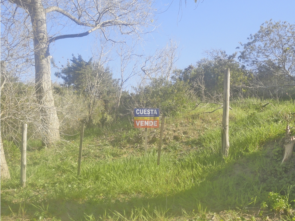 LOTE TALA SUR - 1