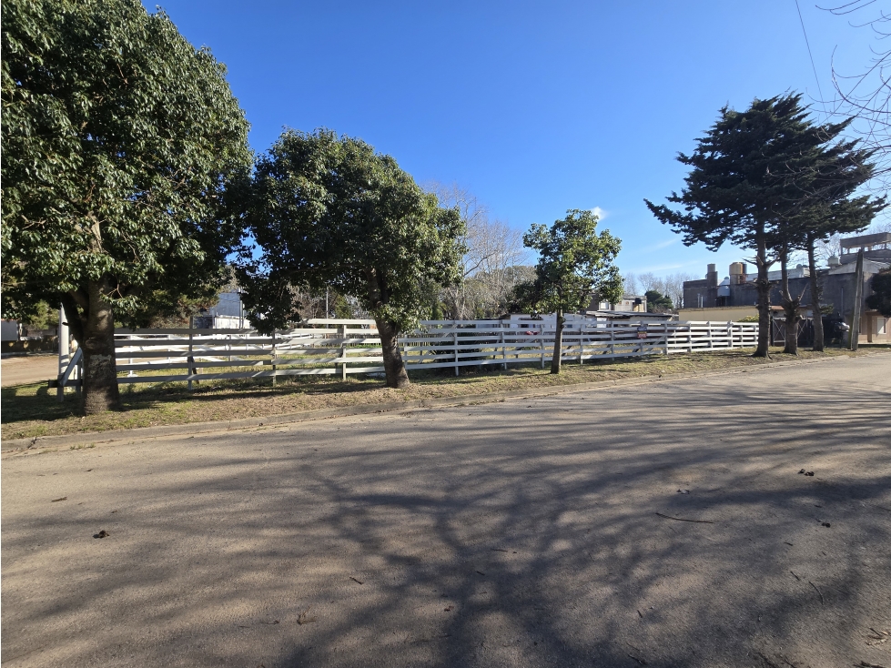 LOTE - 2