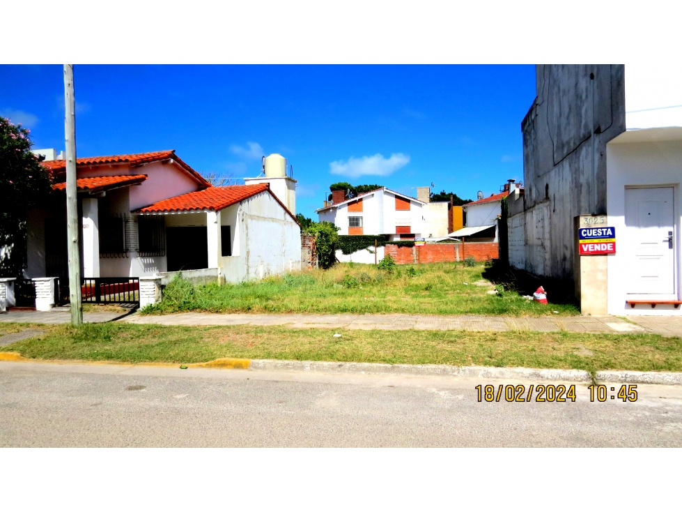 LOTE CENTRICO - 4