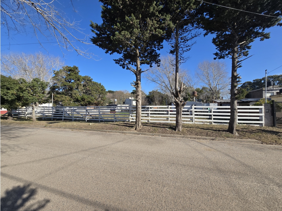 LOTE - 3