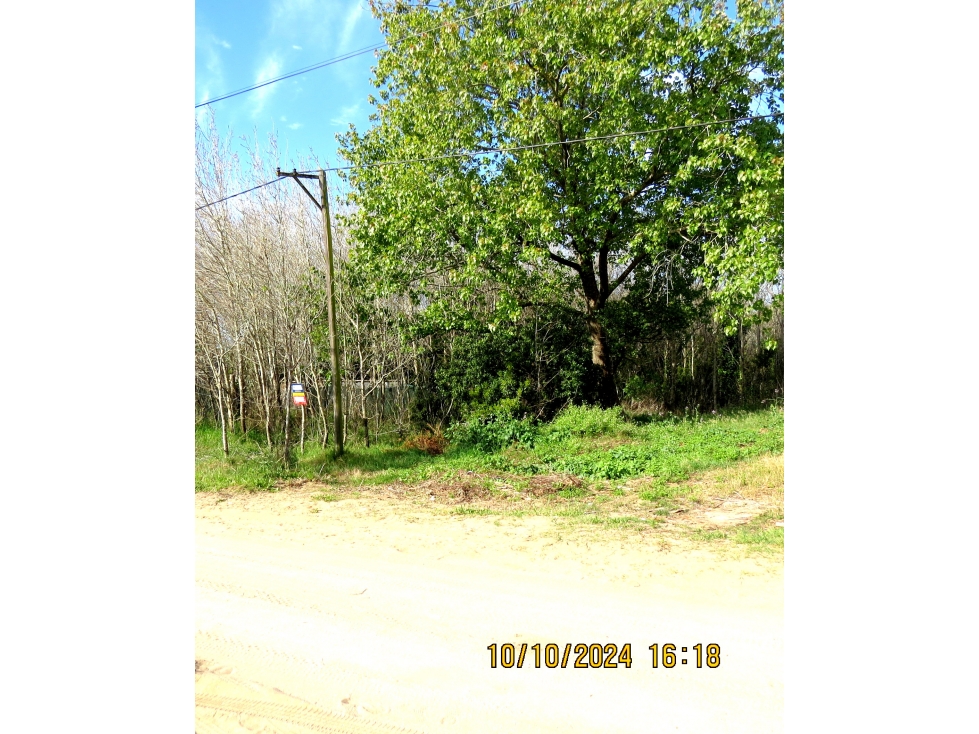 LOTE TALA SUR - 3