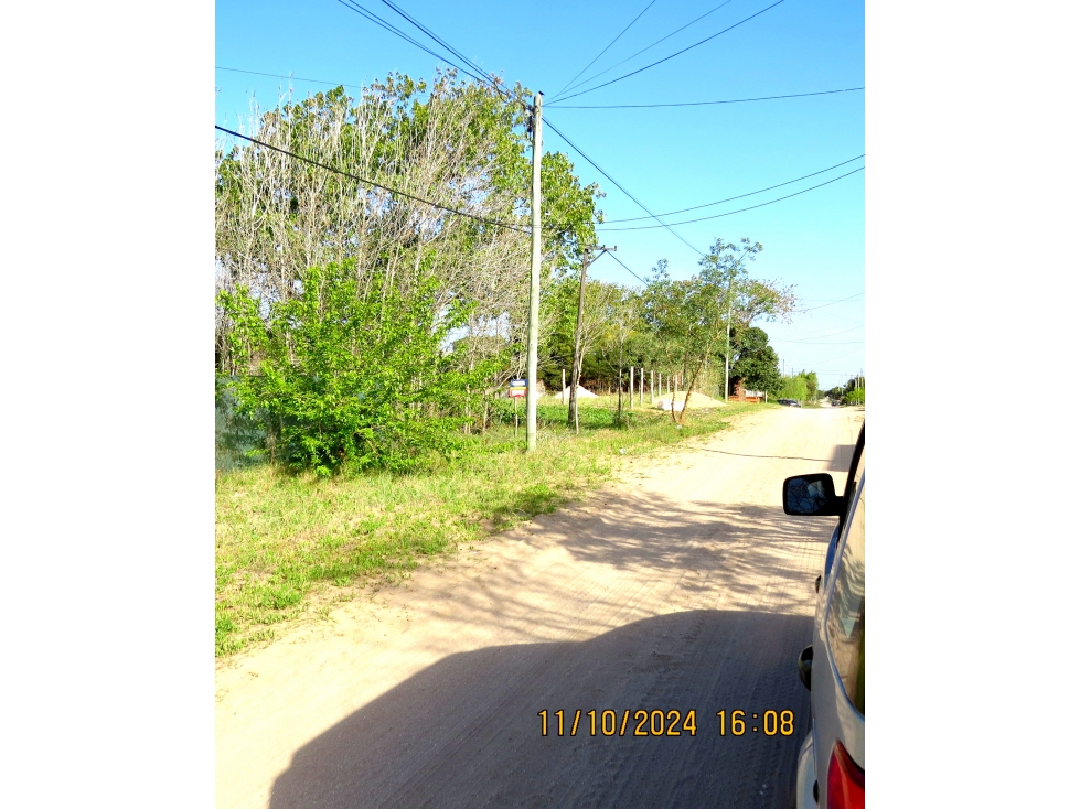 LOTE TALA SUR - 4