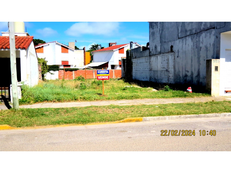 LOTE CENTRICO - 2