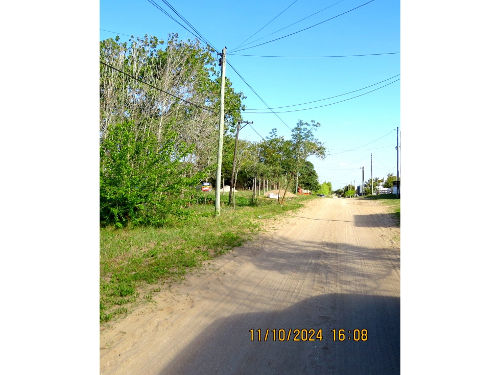 LOTE TALA SUR - 5