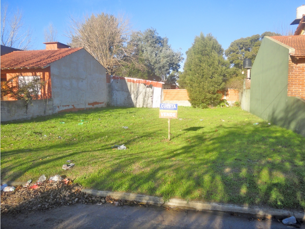 LOTE SOBRE PAVIMENTO - 1