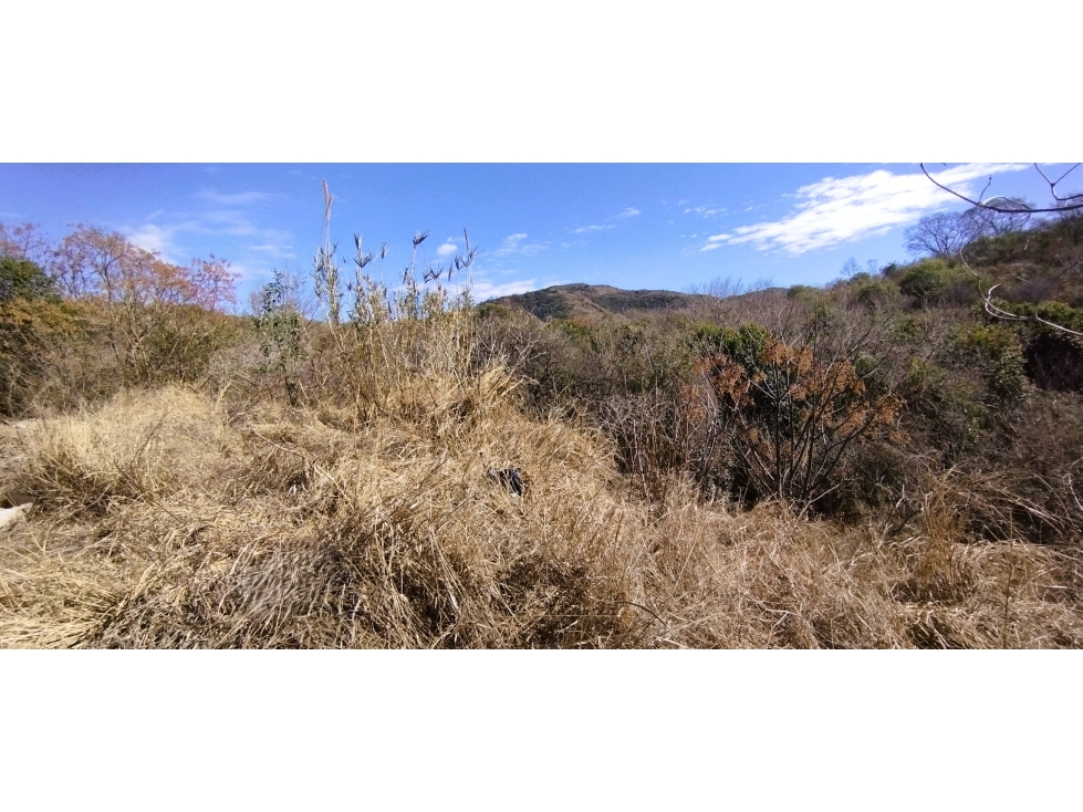 LOTE EN EL DIQUECITO LA CALERA - 1,5 HAS - 2