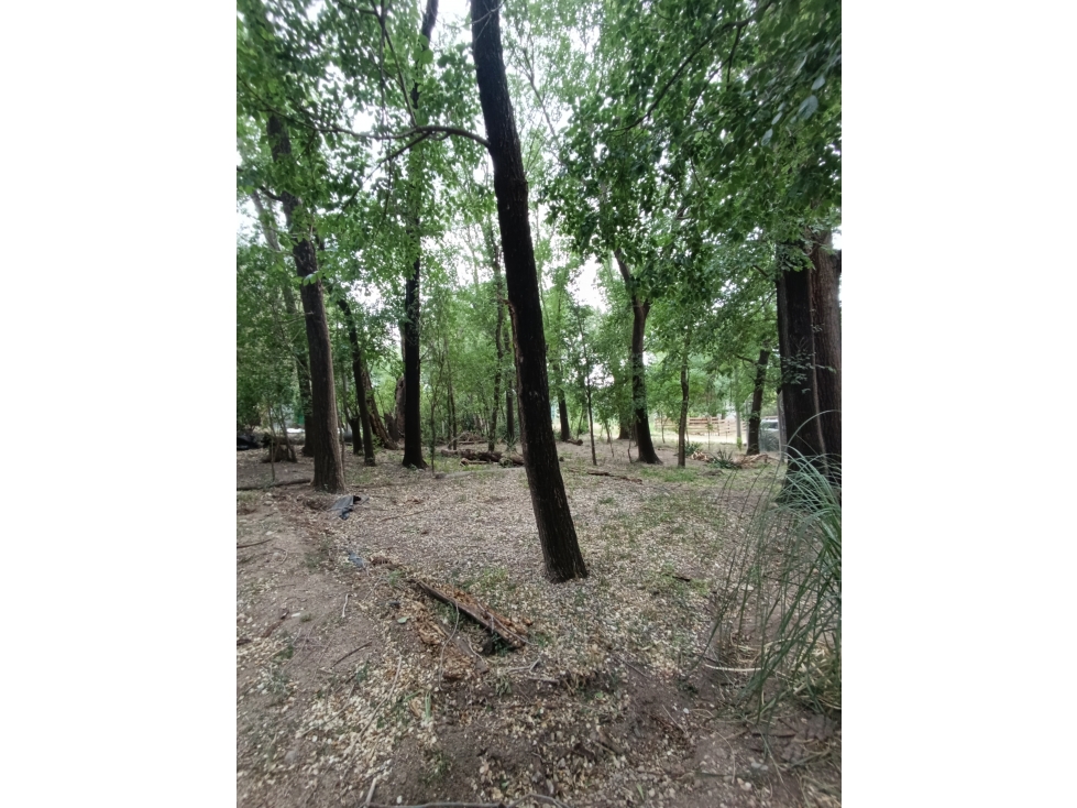 LOTE EN VENTA A METROS DEL BALNEARIO - 5