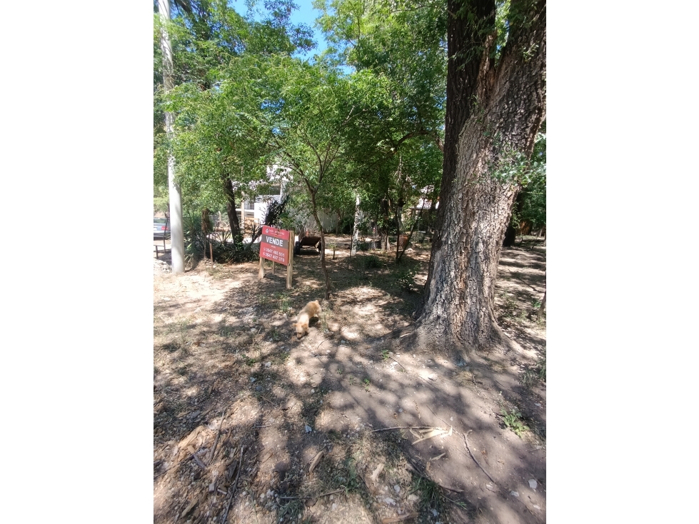 LOTE EN VENTA A METROS DEL BALNEARIO - 3