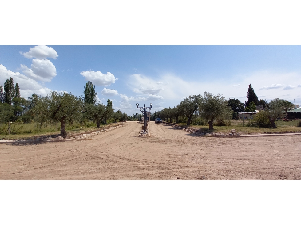 LOTES EN MONTEOLIVO BARRIO PRIVADO Lujan de Cuyo Mendoza - 4
