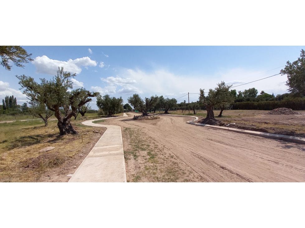 LOTES EN MONTEOLIVO BARRIO PRIVADO Lujan de Cuyo Mendoza - 6