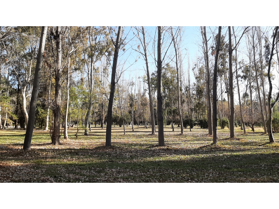 Lote en Venta - Country Club de Campo Maipú - 2
