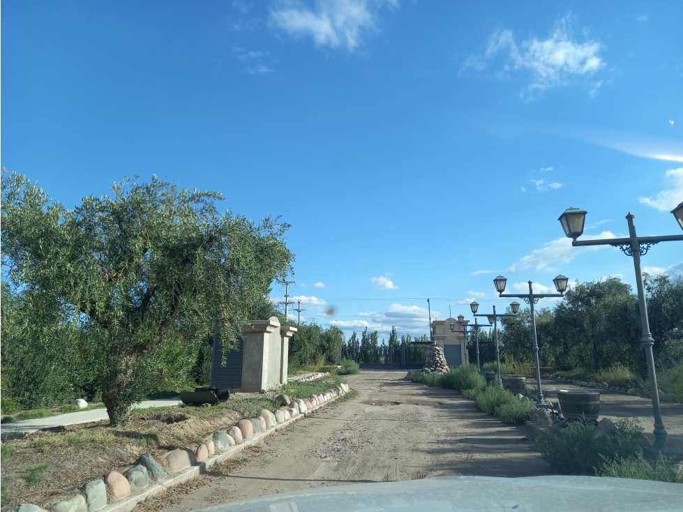 ¡Oportunidad! Lote en Monteolivo Recibe VehÃ­culo en Parte de Pago - 2