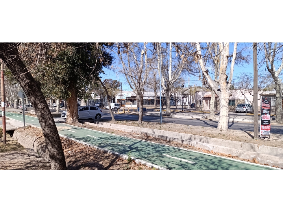Terreno en Venta en Godoy Cruz 200 m² Sobre Calle Sarmiento - 3