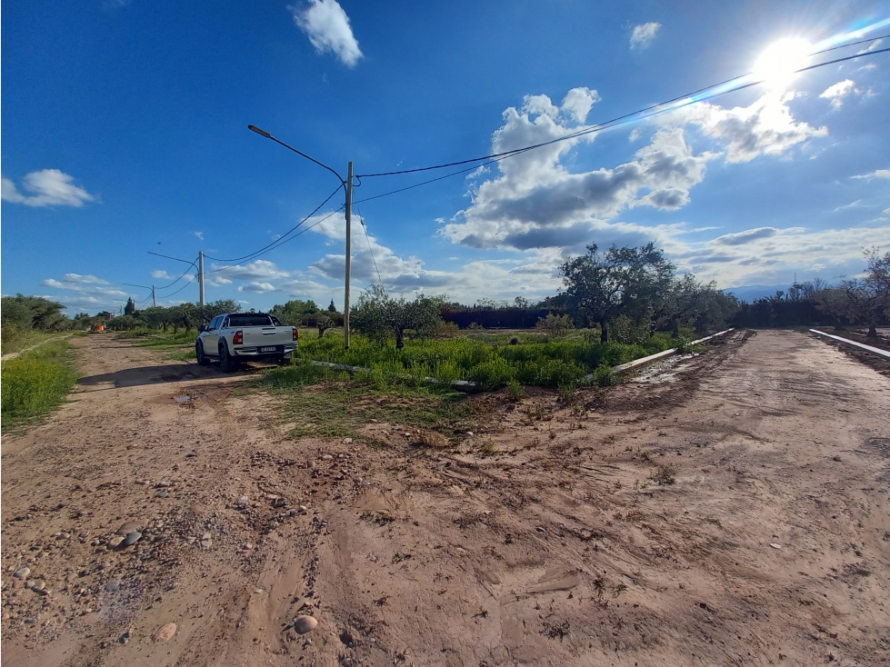 Lotes Barrio Privado calle Zapiola Drummond Lujan de Cuyo - 5