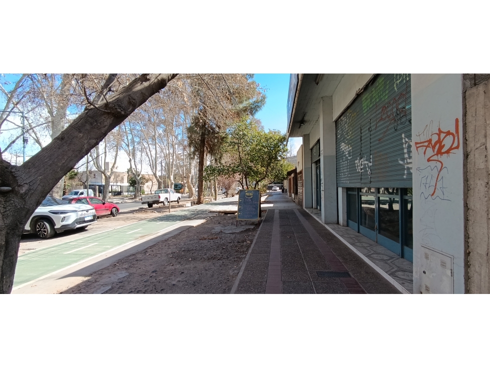 Terreno en Venta en Godoy Cruz 200 m² Sobre Calle Sarmiento - 4
