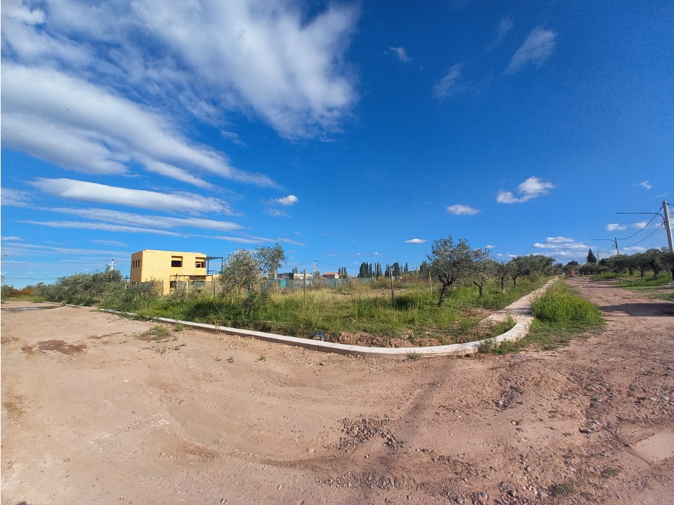 Lotes Barrio Privado calle Zapiola Drummond Lujan de Cuyo - 6