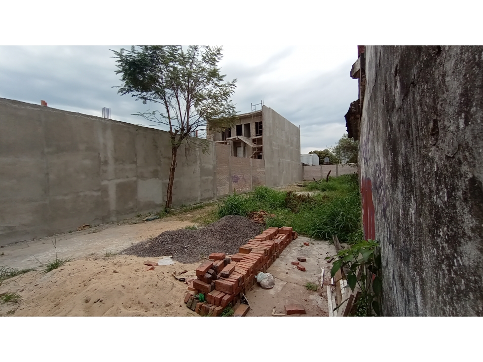 Terreno - 5