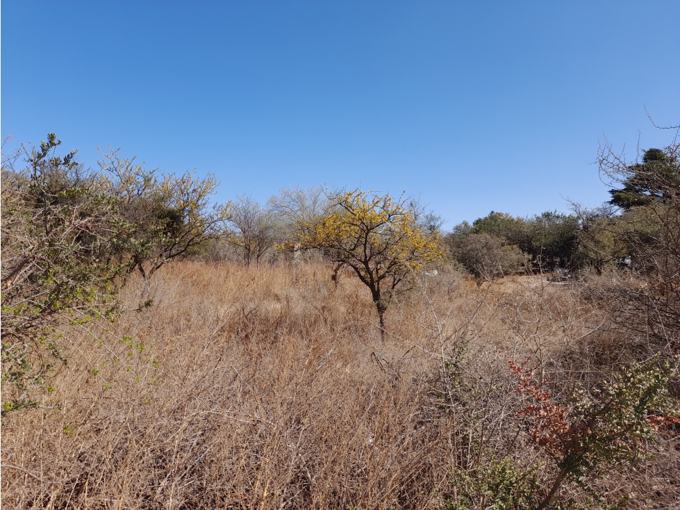 LOTE EN VENTA EN CAPILLA DEL MONTE - 6