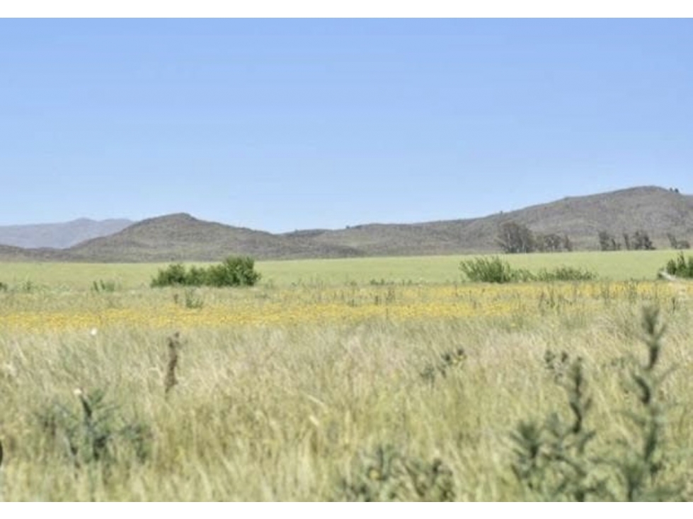 terreno en venta en las verbenas — foto 2