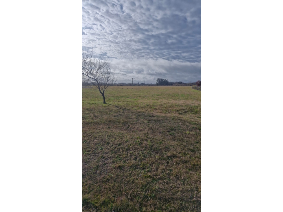 LOTE EN CLUB DE CAMPO LUJAN — foto 4