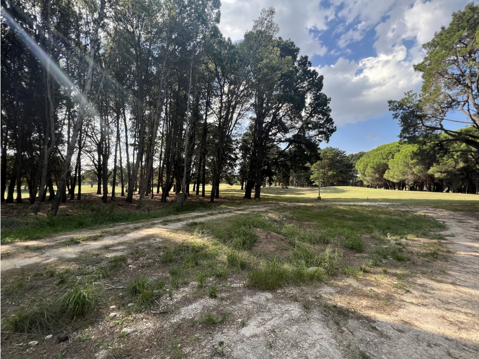 CLAROMECO GOLF (Dentro del predio) - 3