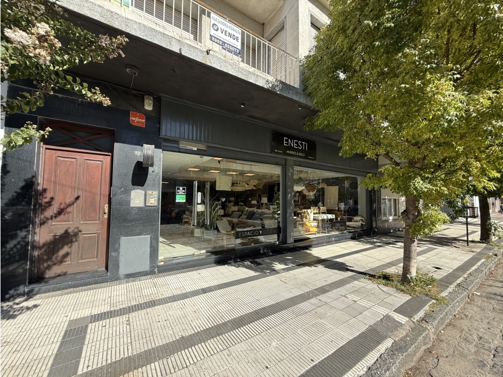 LOCAL CENTRICO - 1
