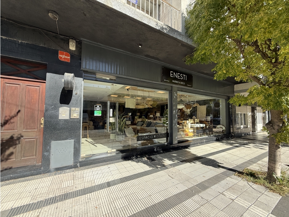LOCAL CENTRICO - 6