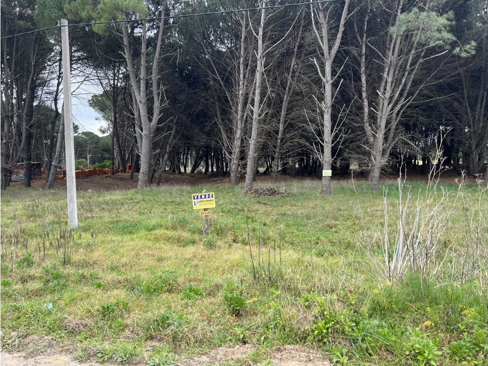 CLAROMECO-TERRENO ZONA GOLF - 20 x 40 mts. - 3