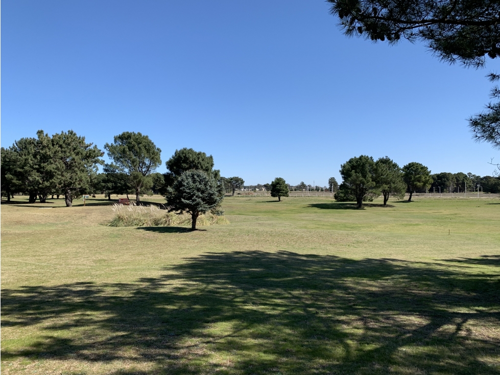 CLAROMECO GOLF (Dentro del predio) - 2