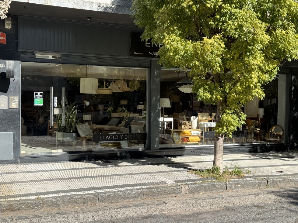 LOCAL CENTRICO - 4
