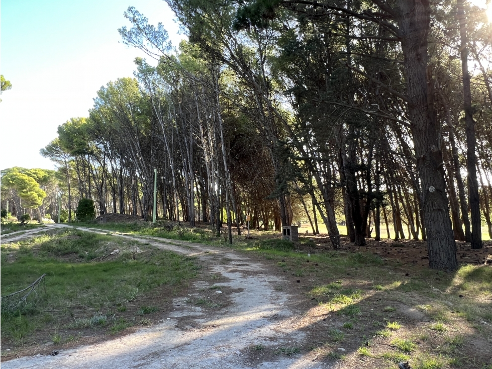 CLAROMECO GOLF (Dentro del predio) - 6