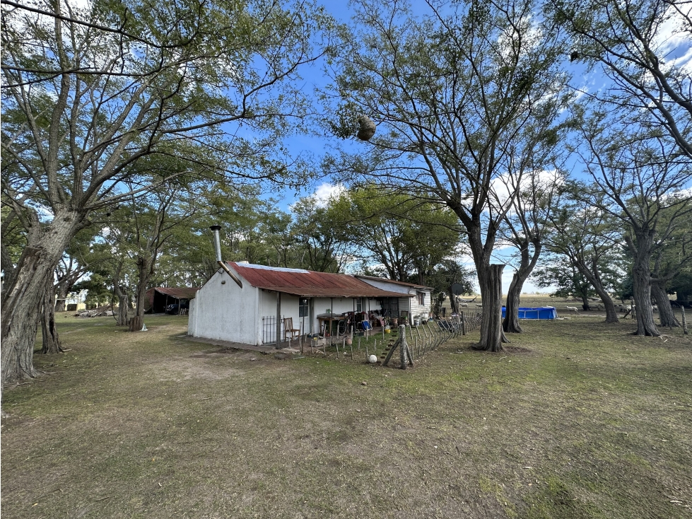 Campo de 450 Has en Magdalena (Bs. As.) - 5