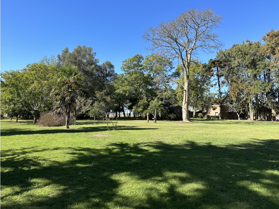 Campo mixto de 650 Has. en venta en Brandsen - 2