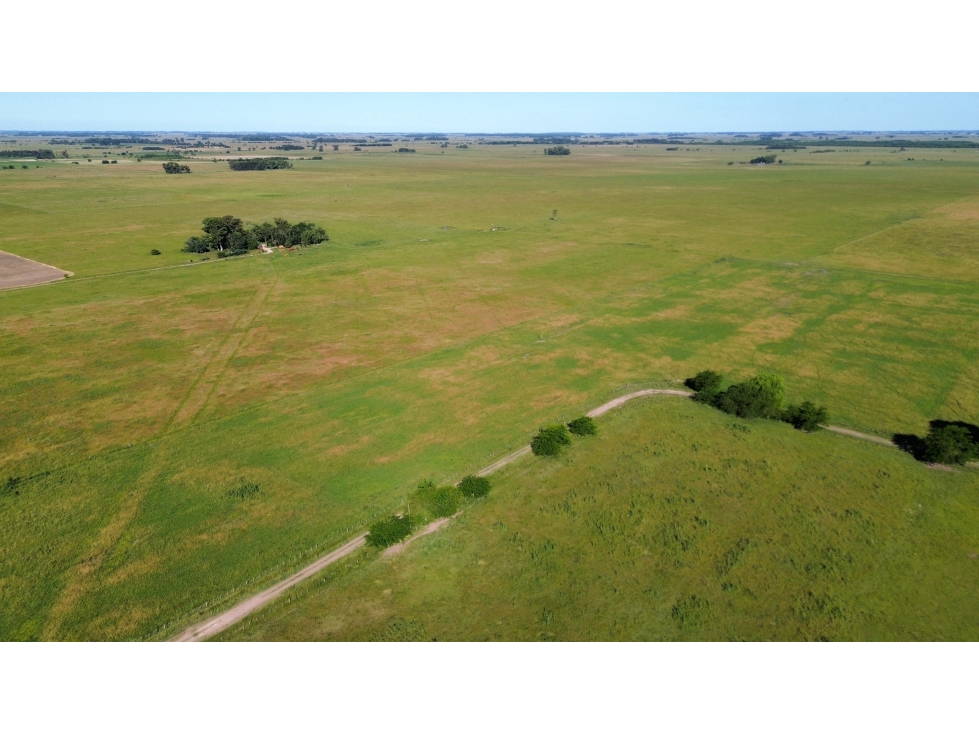 Campo en venta en Ranchos. 117 Has mixtas sobre ruta 29 - 6